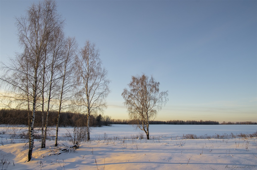 Фото жизнь