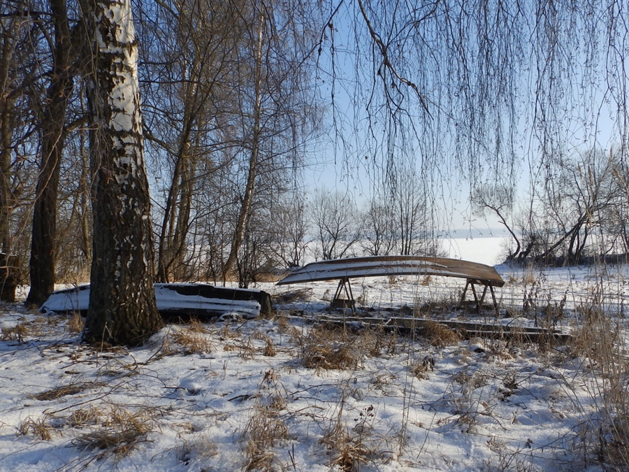 Фото жизнь