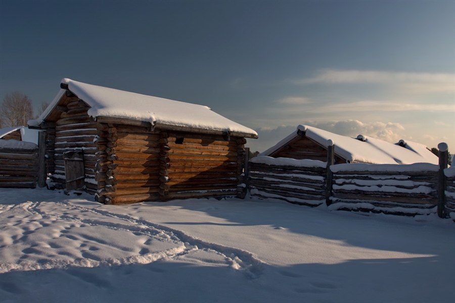 Фото жизнь