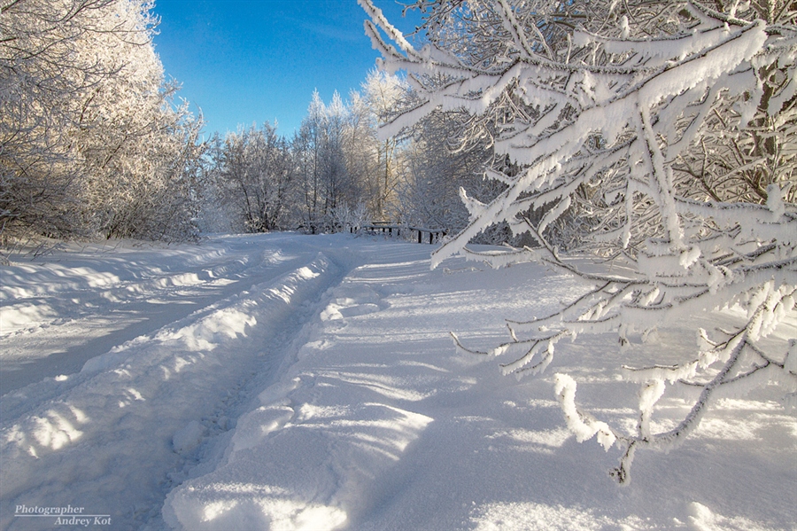 Фото жизнь