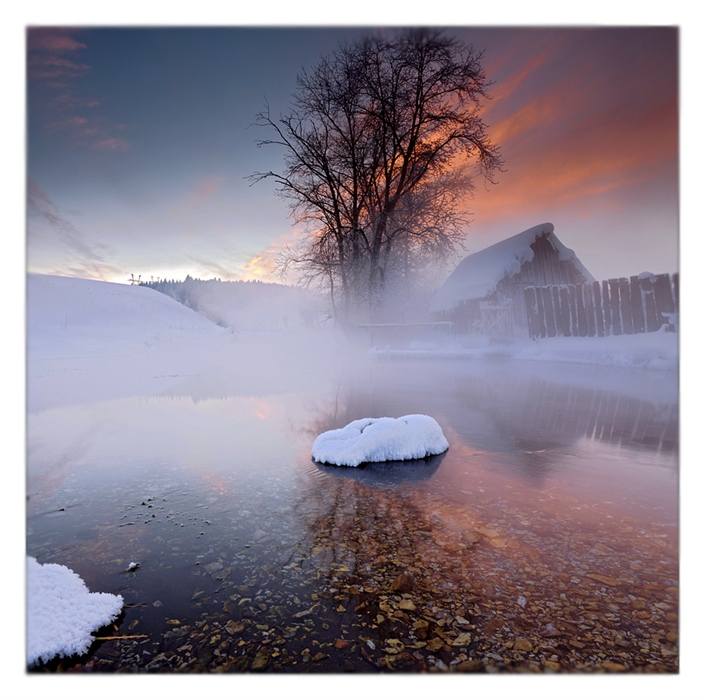 Фото жизнь