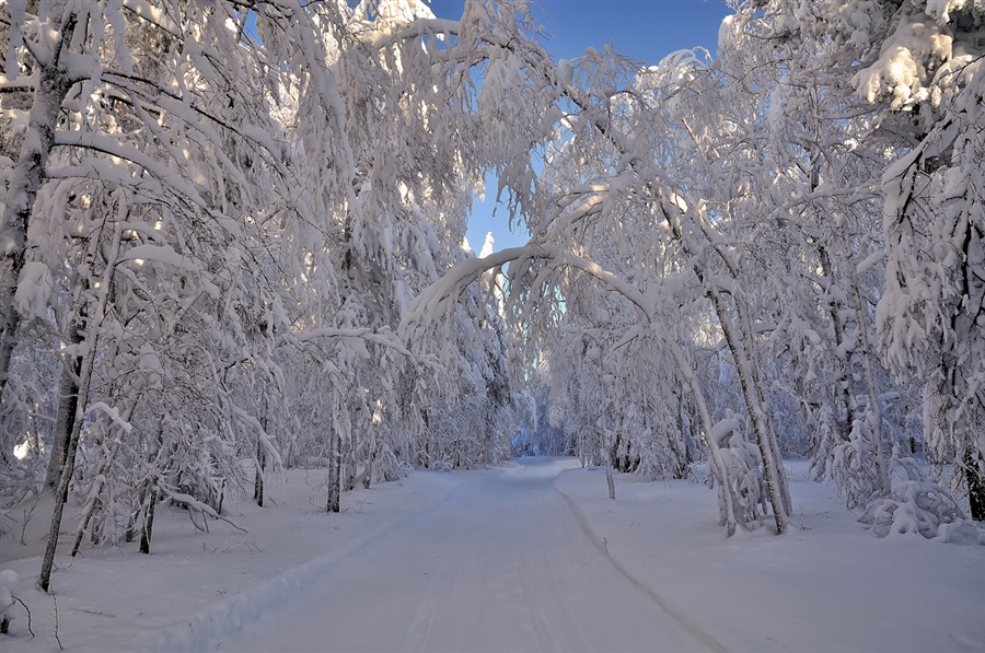 Фото жизнь