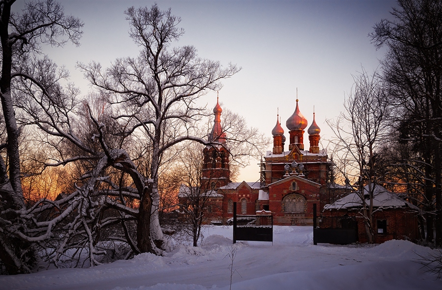 Фото жизнь