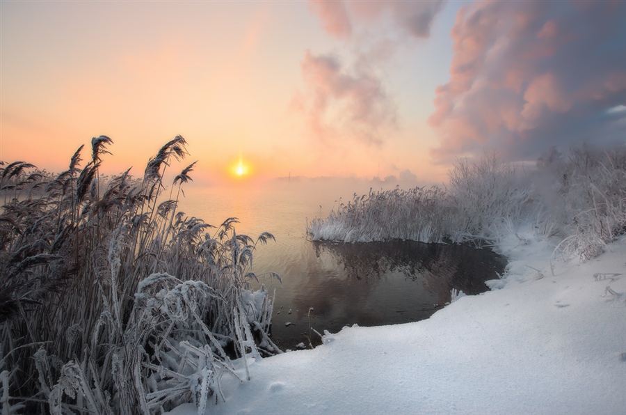 Фото жизнь