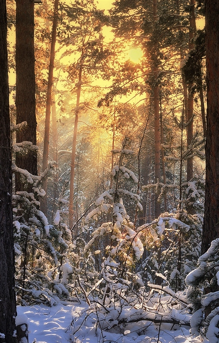 Фото жизнь