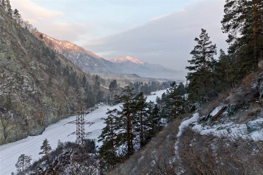 Фото жизнь