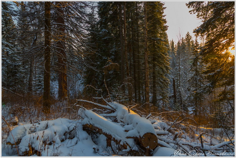 Фото жизнь (light) - Сергей Винтовкин - Пейзажи - Зимний, морозный вечер