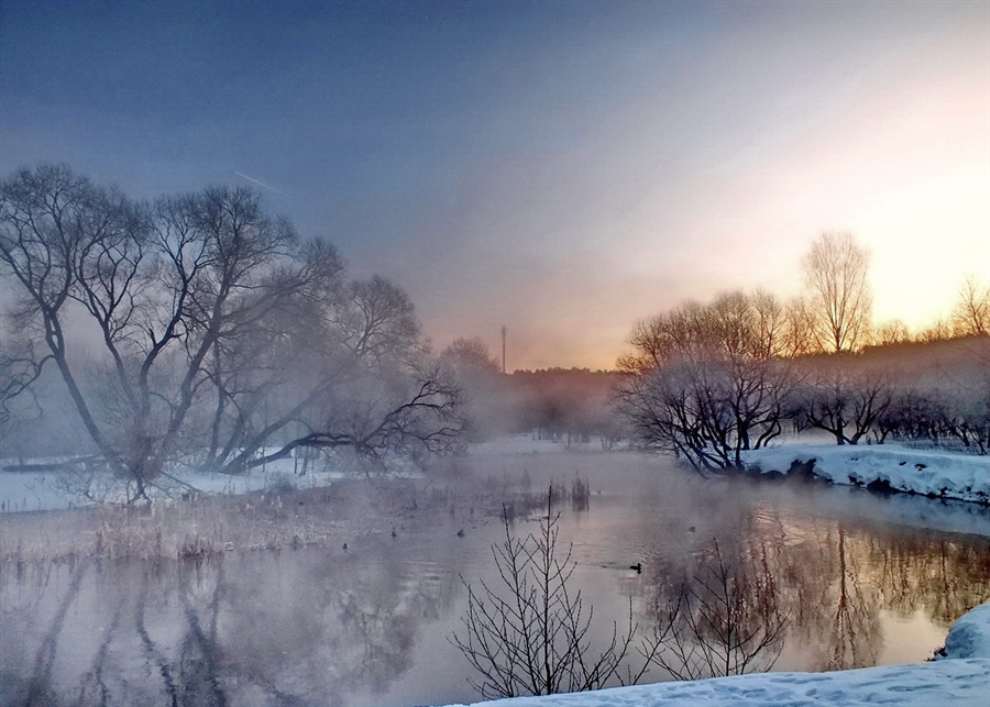 Фото жизнь