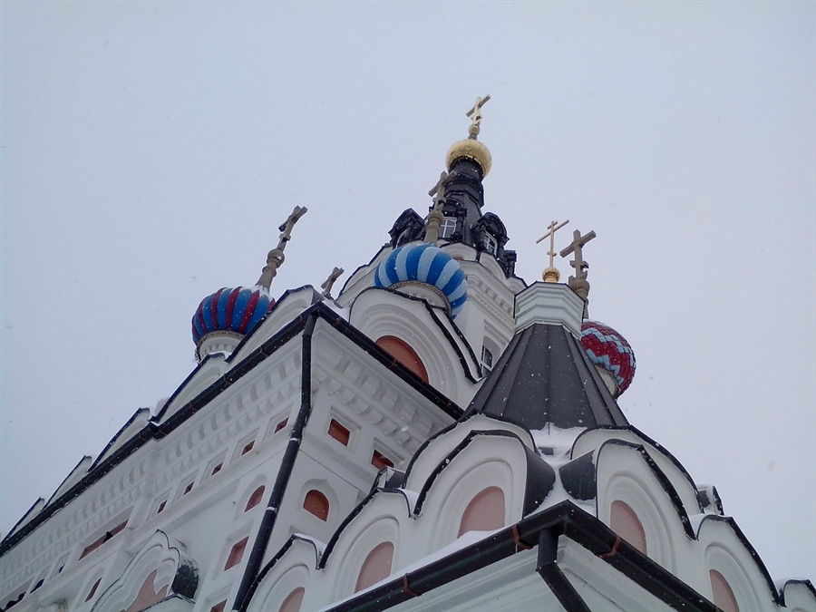 Фото жизнь