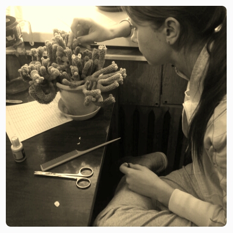 Фото жизнь (light) - serenata - корневой каталог - *