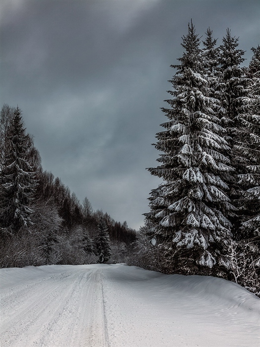 Фото жизнь