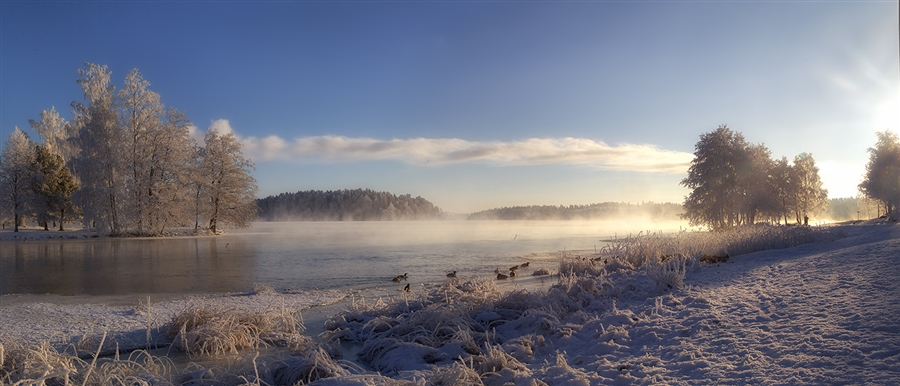 Фото жизнь