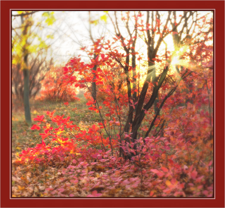 Фото жизнь - Iurie Burlacu - корневой каталог - Красная осень