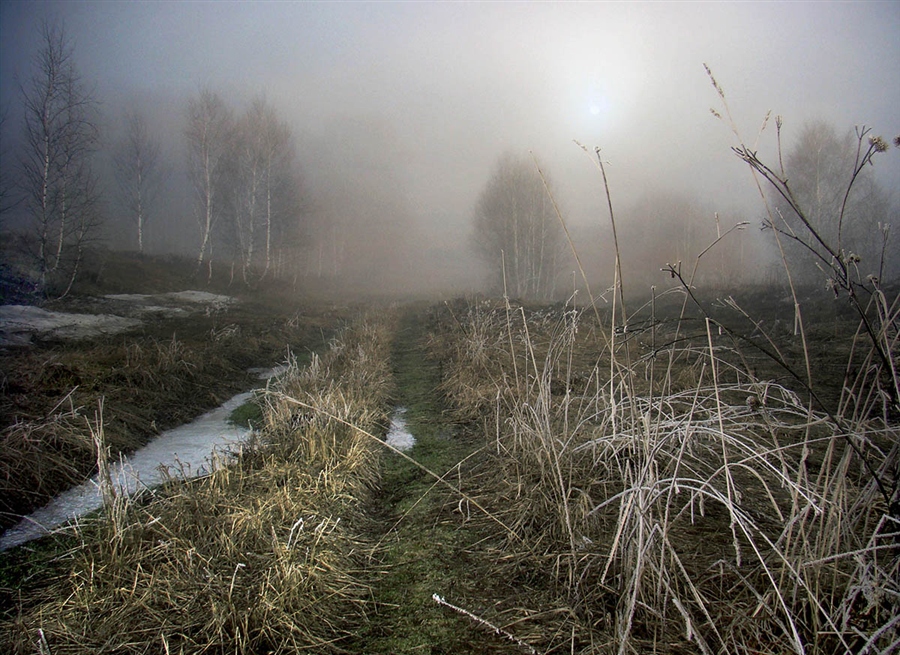 Фото жизнь