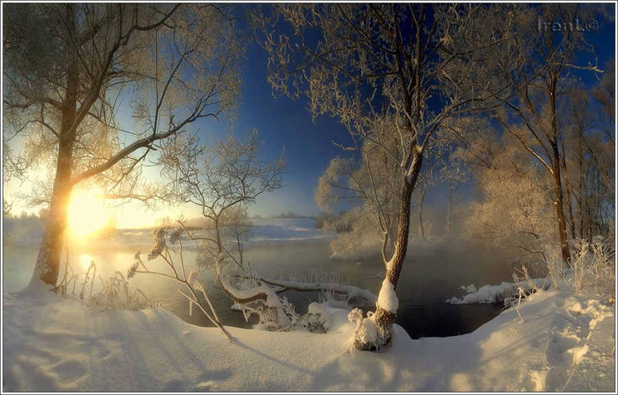 Фото жизнь