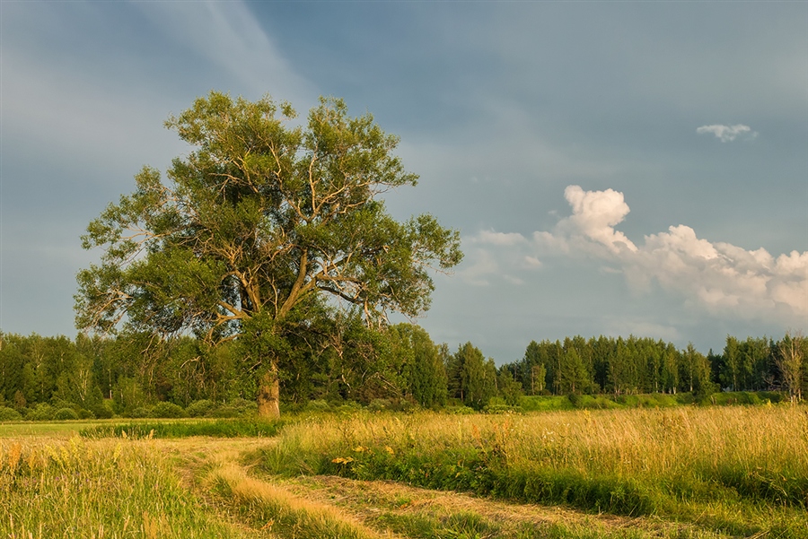 Фото жизнь