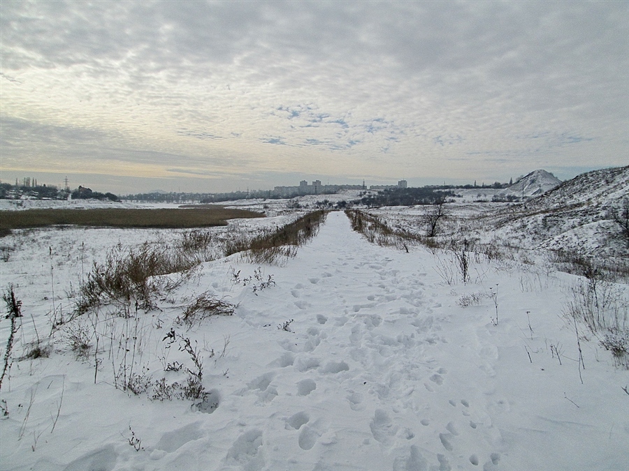Фото жизнь