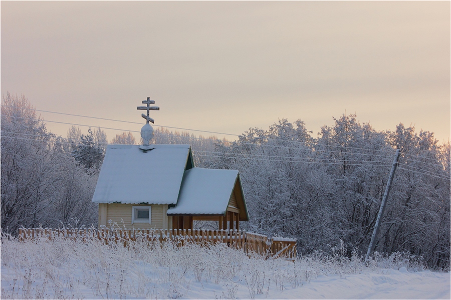 Фото жизнь