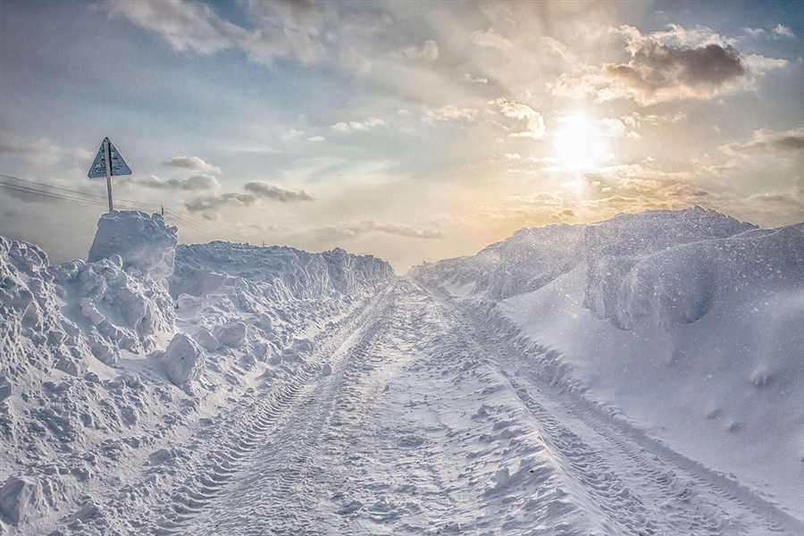 Фото жизнь
