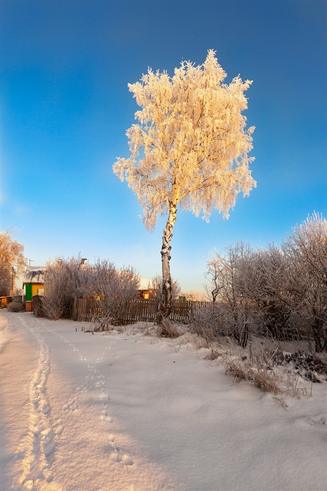 Фото жизнь
