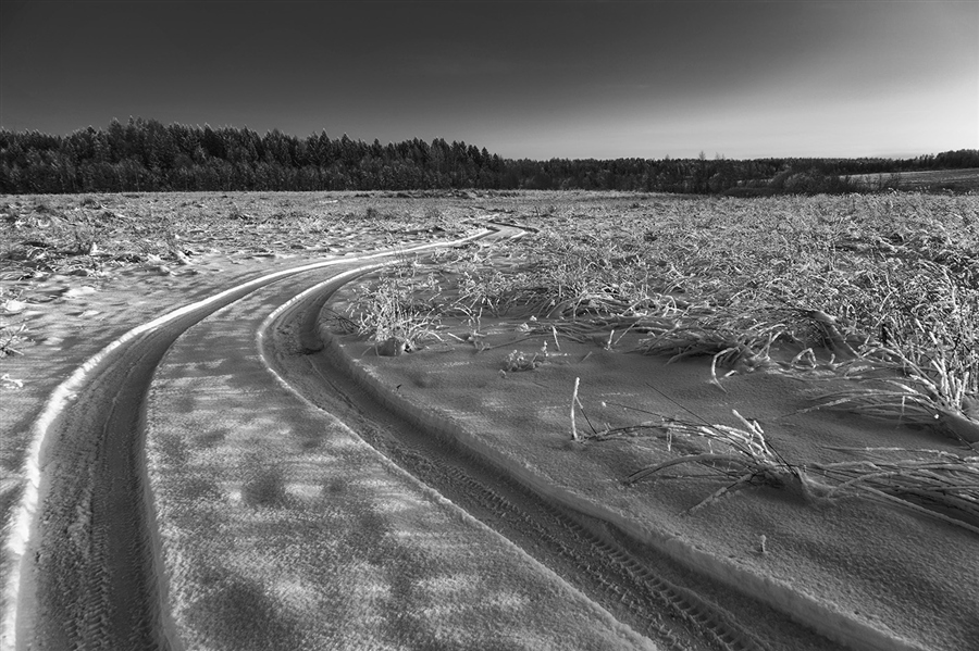 Фото жизнь