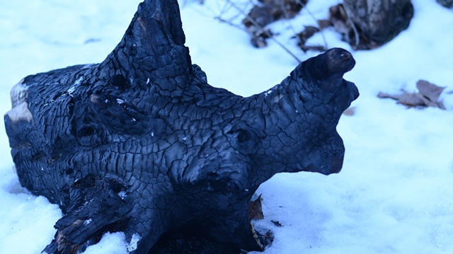 Фото жизнь (light) - Маша Мисюра - Winter - Угольный носорог