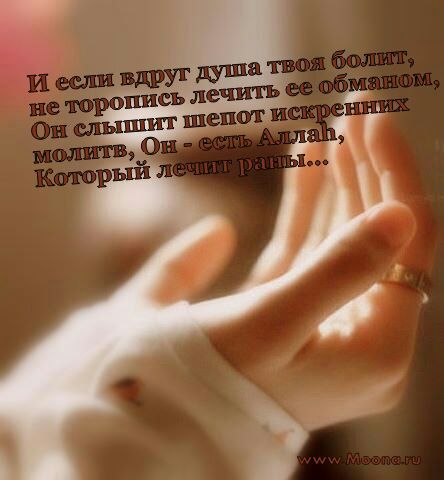 Фото жизнь (light) - --__--__-- - корневой каталог - love is 