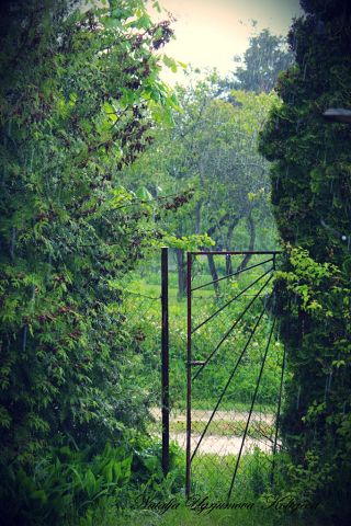 Фото жизнь (light) - nkolteeva - корневой каталог - калитка