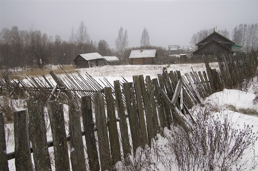 Фото жизнь