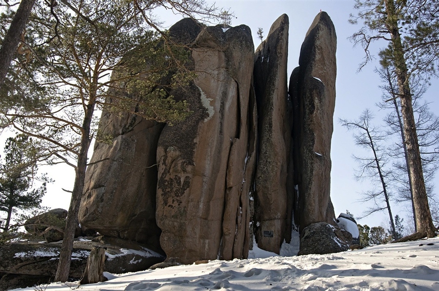 Фото жизнь