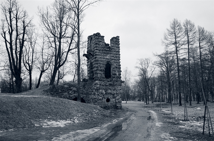 Фото жизнь