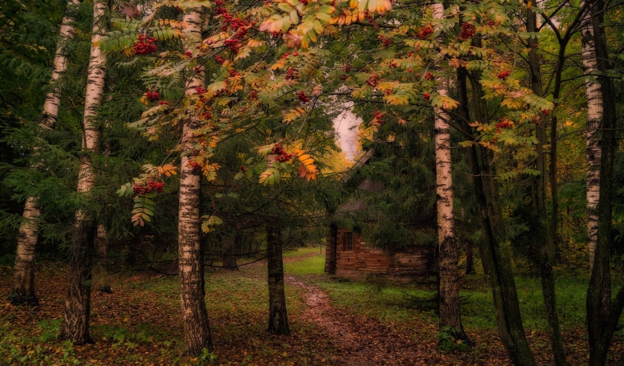 Фото жизнь