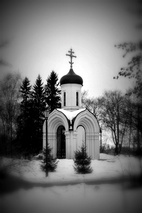 Фото жизнь