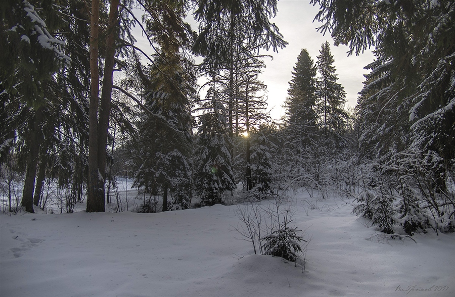 Фото жизнь