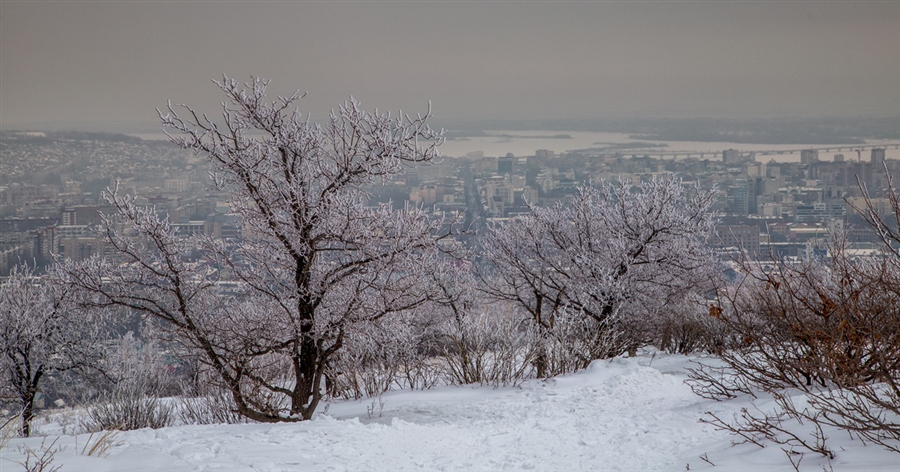 Фото жизнь