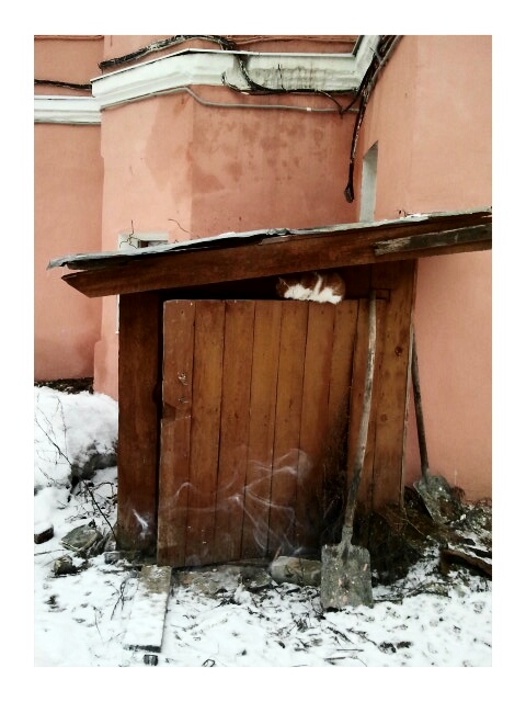 Фото жизнь (light) - serenata - корневой каталог - *