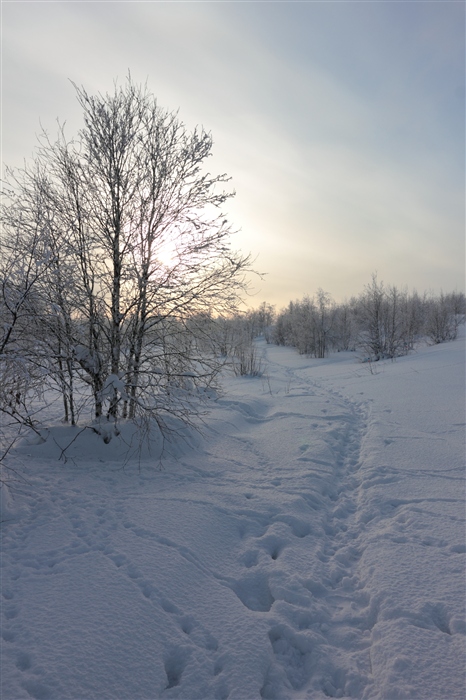 Фото жизнь