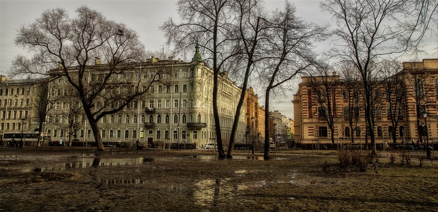 Фото жизнь