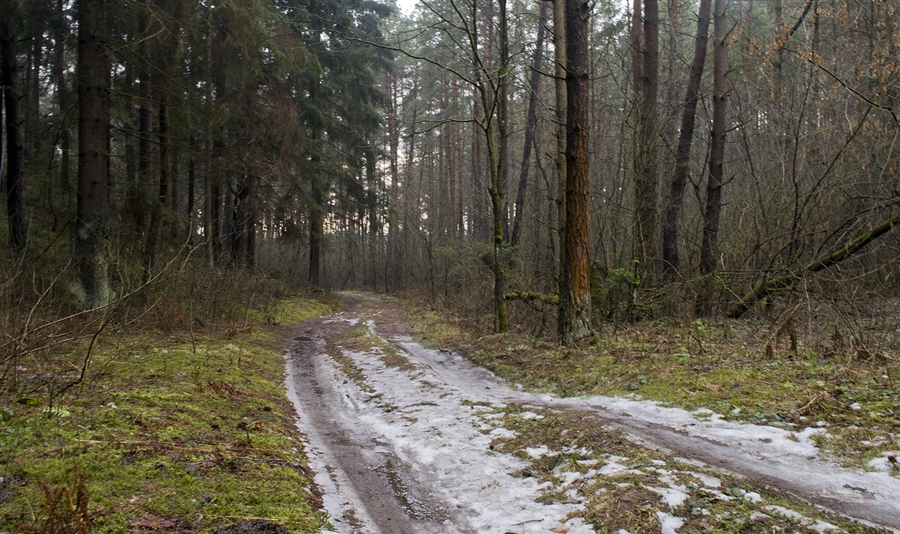 Фото жизнь