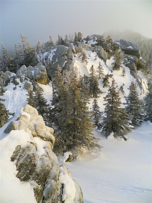 Фото жизнь