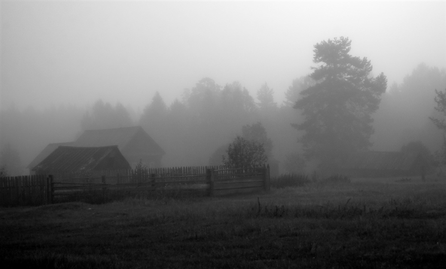 Фото жизнь