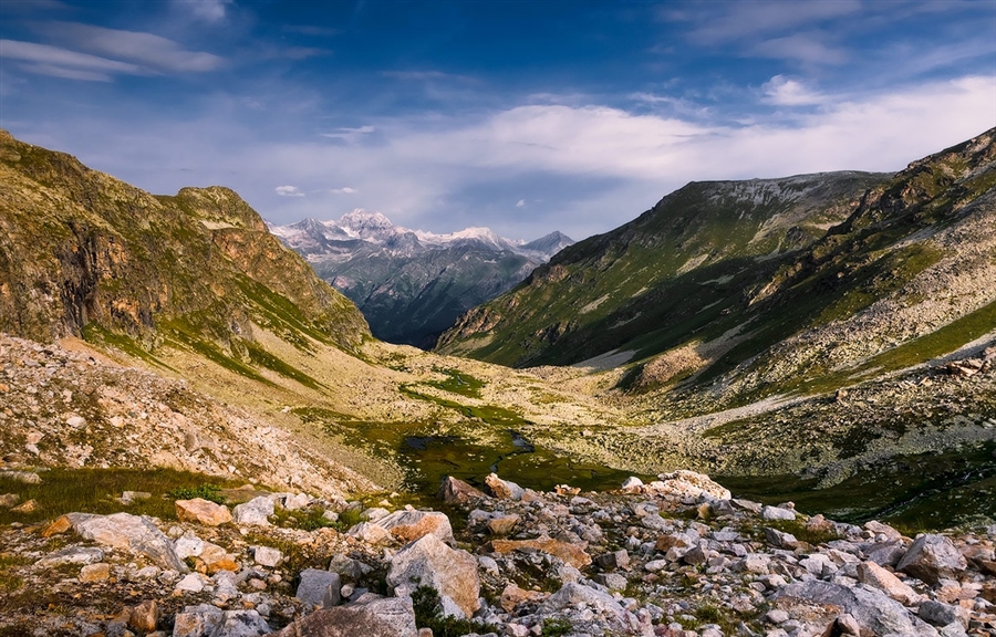 Фото жизнь