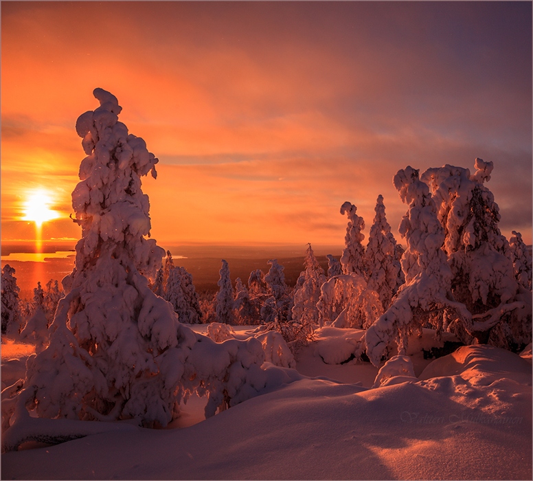 Фото жизнь