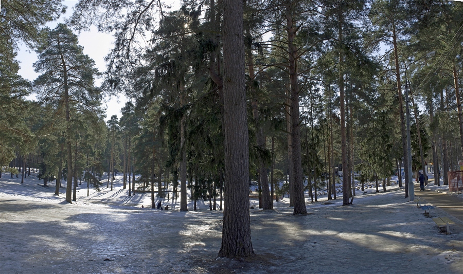 Фото жизнь