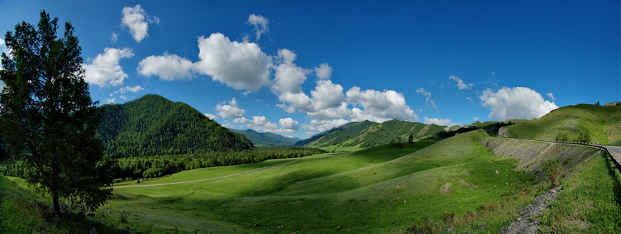 Фото жизнь