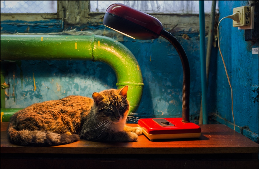 Фото жизнь