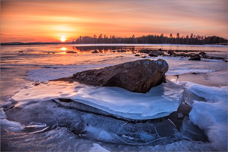 Фото жизнь