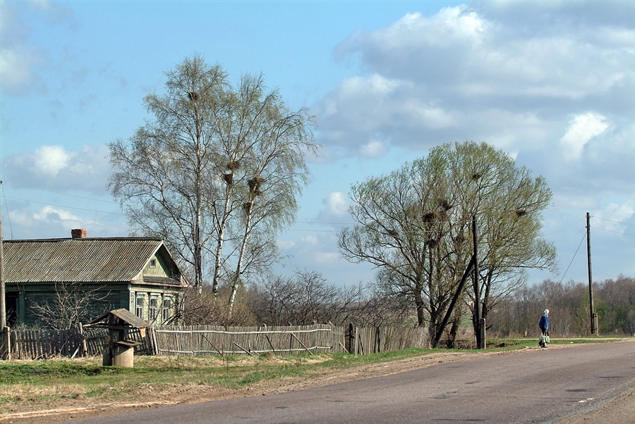 Фото жизнь