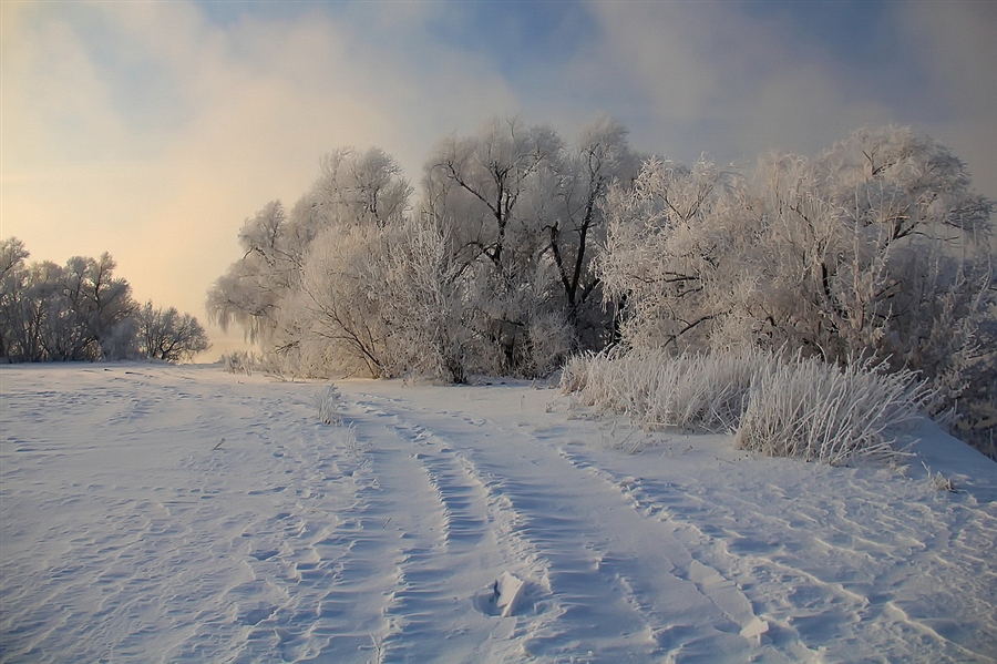Фото жизнь