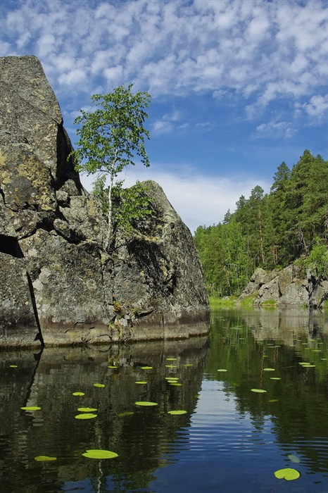 Фото жизнь